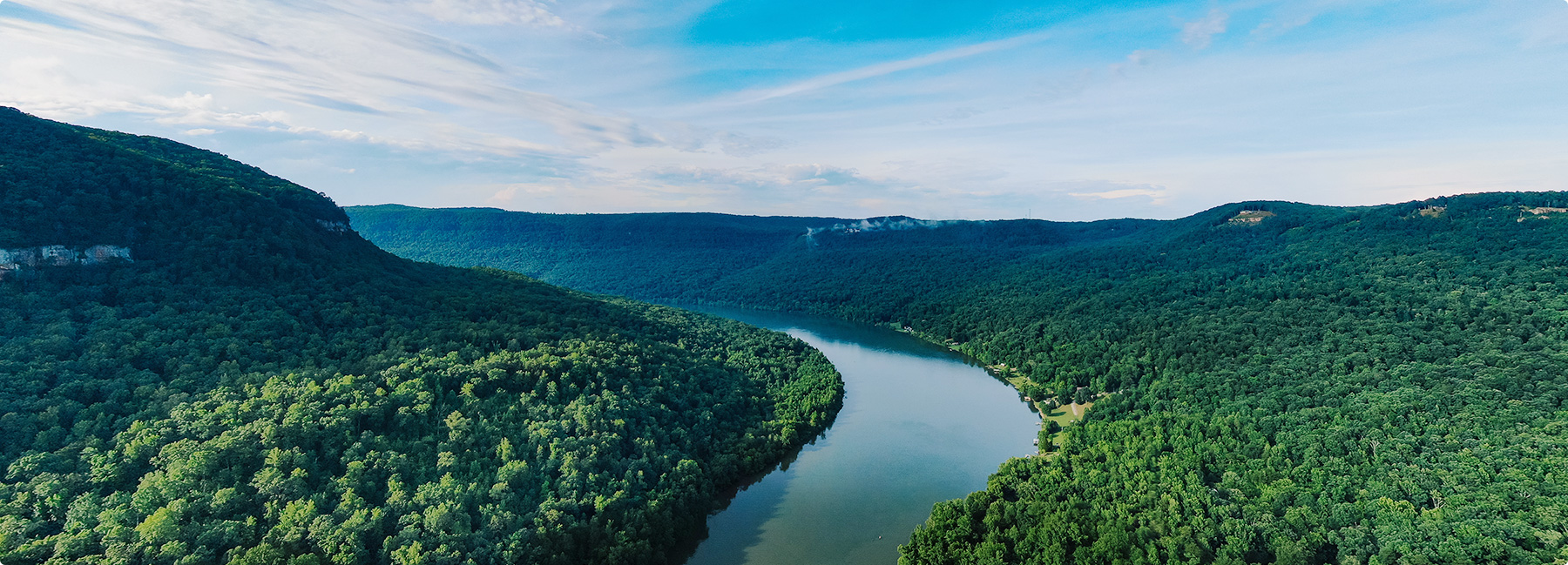 十大纸业公司APP中国业务部：林务事业部